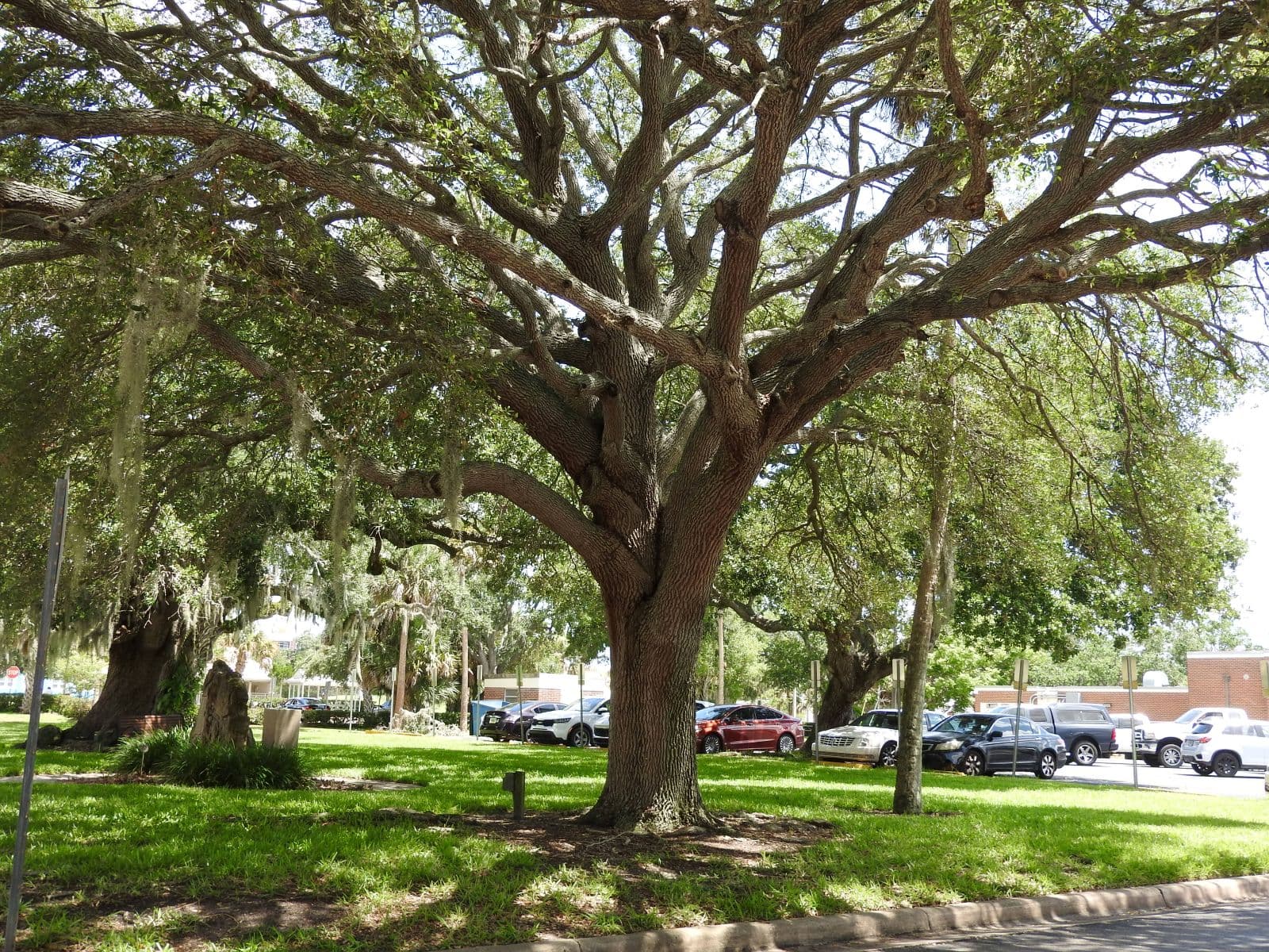 Emory L. Bennett Park photo 2