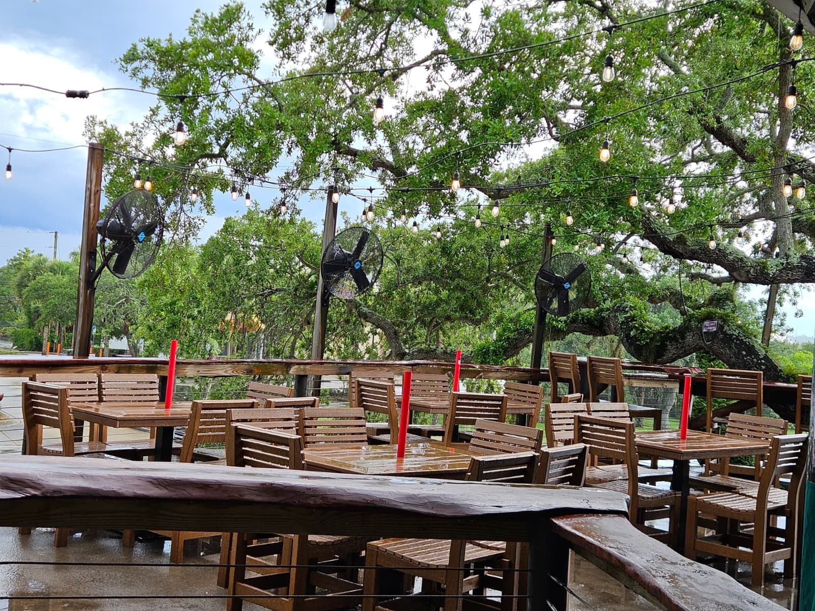 Norwood's Treehouse photo 1