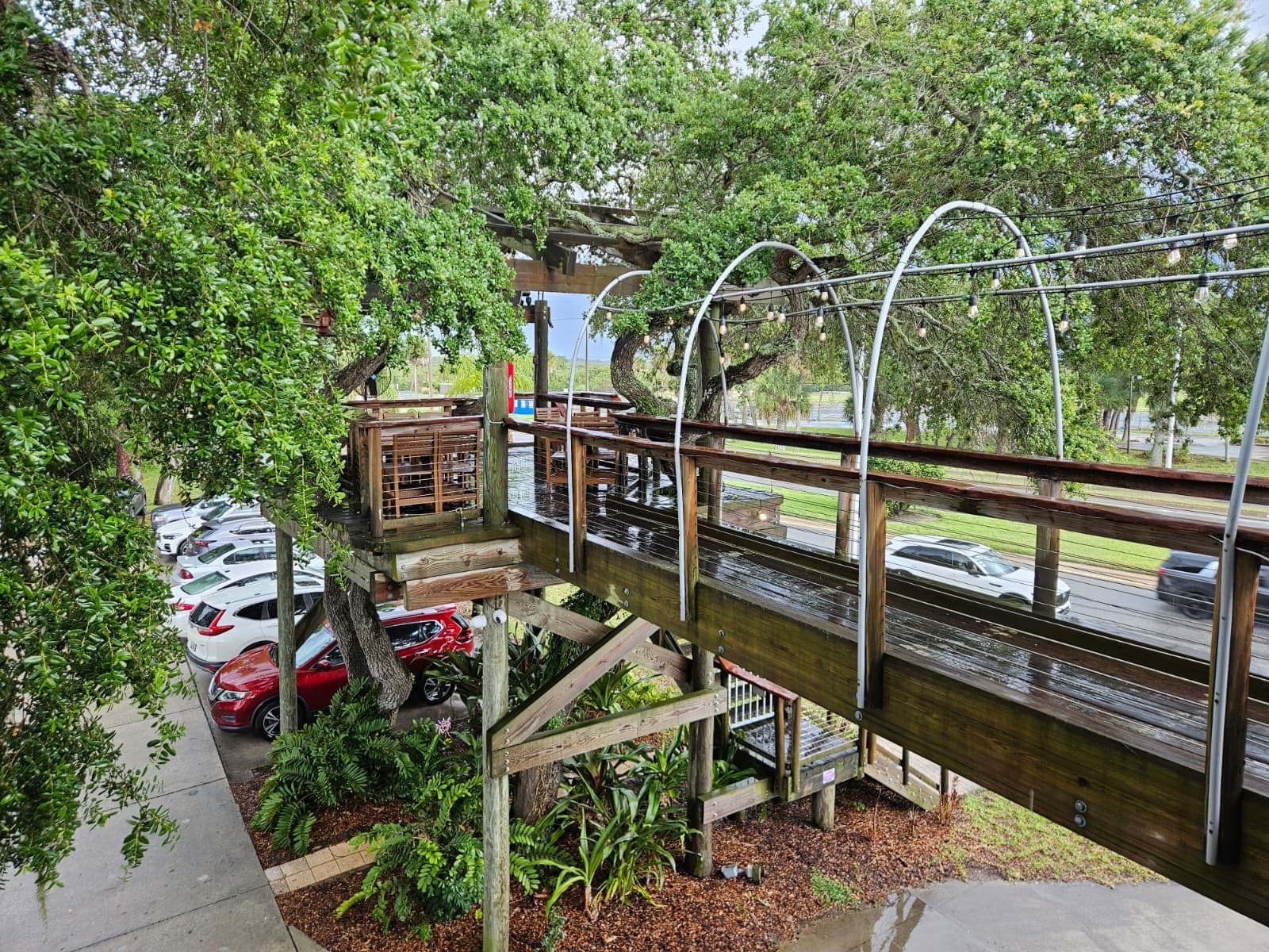 Norwood's Treehouse photo 2